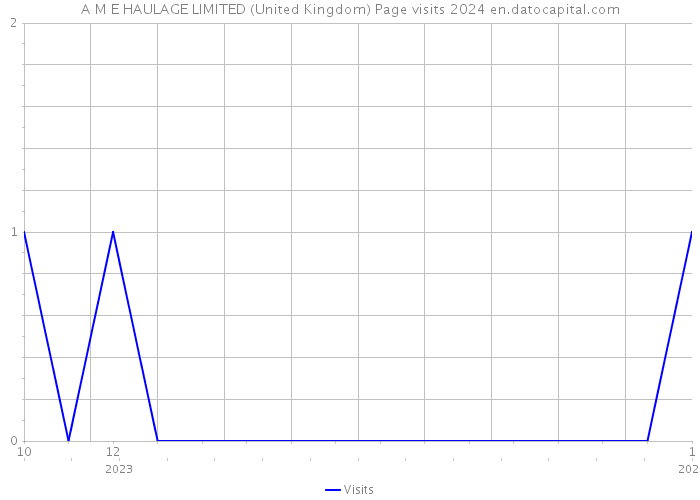 A M E HAULAGE LIMITED (United Kingdom) Page visits 2024 