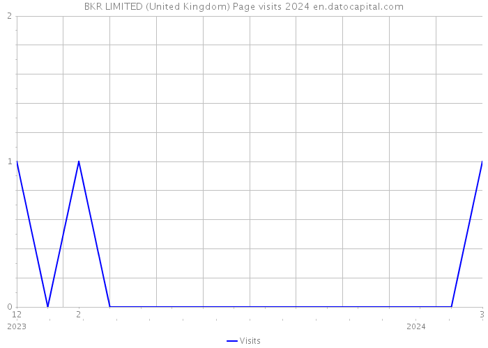 BKR LIMITED (United Kingdom) Page visits 2024 