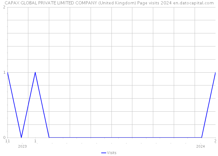 CAPAX GLOBAL PRIVATE LIMITED COMPANY (United Kingdom) Page visits 2024 