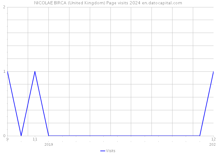 NICOLAE BIRCA (United Kingdom) Page visits 2024 