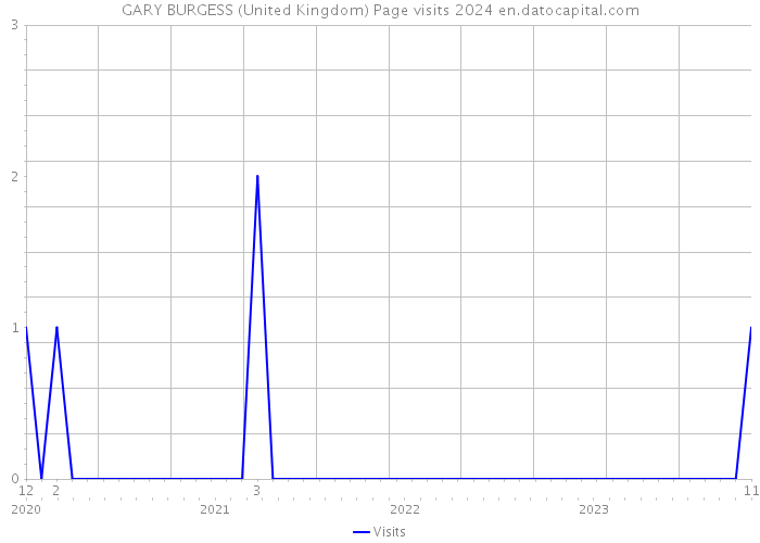 GARY BURGESS (United Kingdom) Page visits 2024 