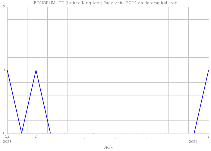 BONORUM LTD (United Kingdom) Page visits 2024 