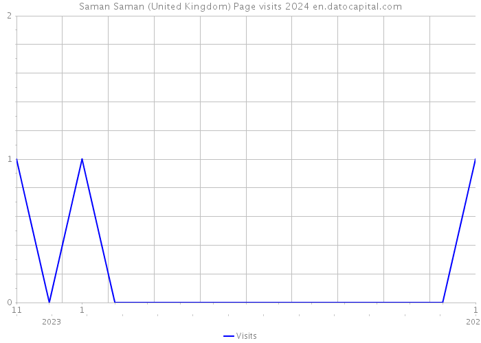 Saman Saman (United Kingdom) Page visits 2024 