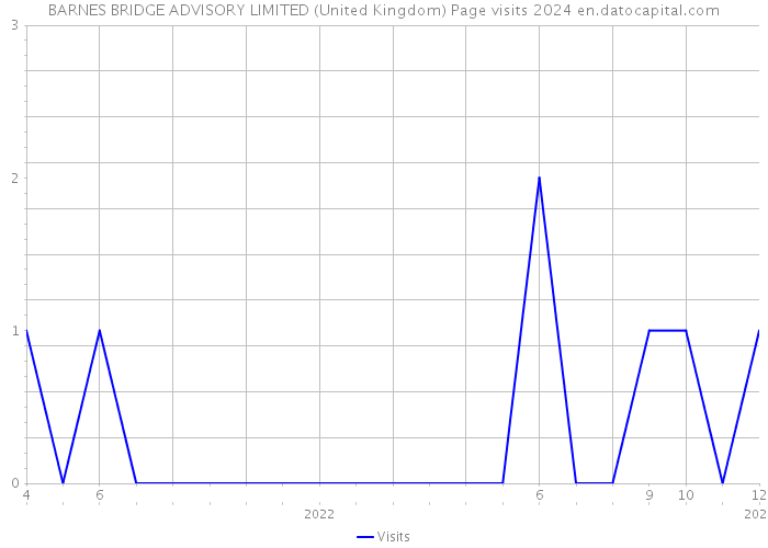 BARNES BRIDGE ADVISORY LIMITED (United Kingdom) Page visits 2024 