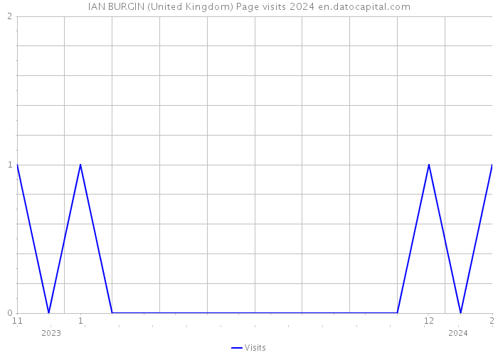 IAN BURGIN (United Kingdom) Page visits 2024 