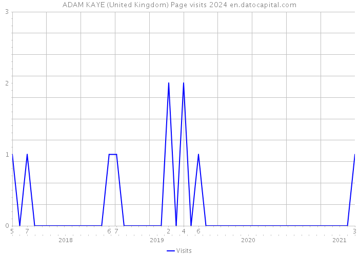 ADAM KAYE (United Kingdom) Page visits 2024 