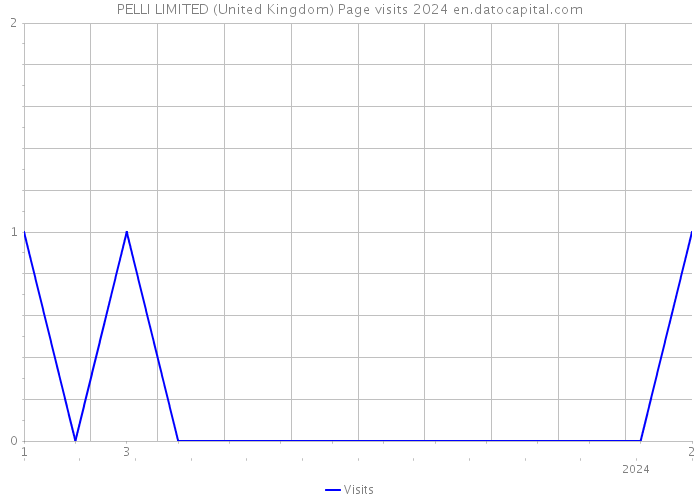 PELLI LIMITED (United Kingdom) Page visits 2024 