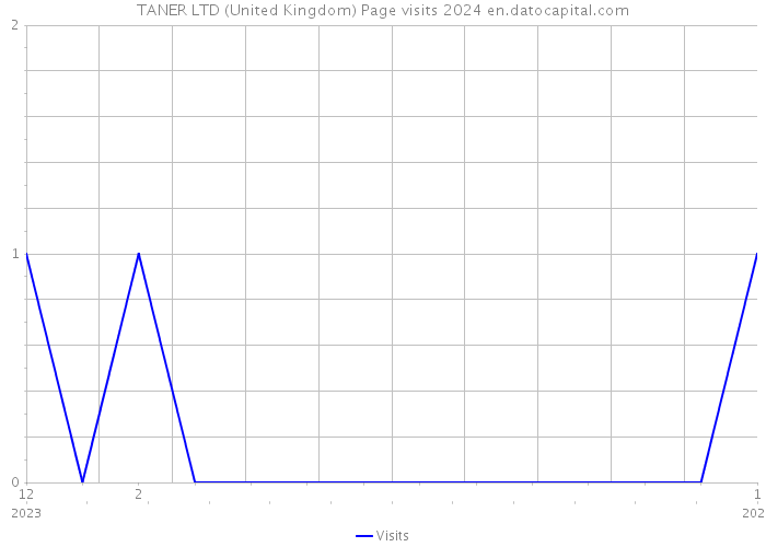 TANER LTD (United Kingdom) Page visits 2024 