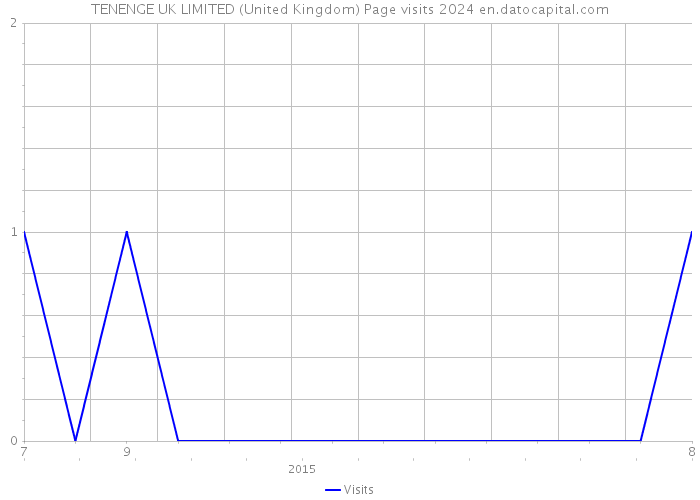 TENENGE UK LIMITED (United Kingdom) Page visits 2024 