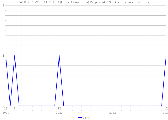 WOOKEY WIRED LIMITED (United Kingdom) Page visits 2024 
