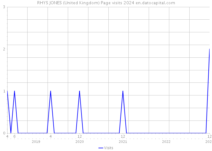 RHYS JONES (United Kingdom) Page visits 2024 