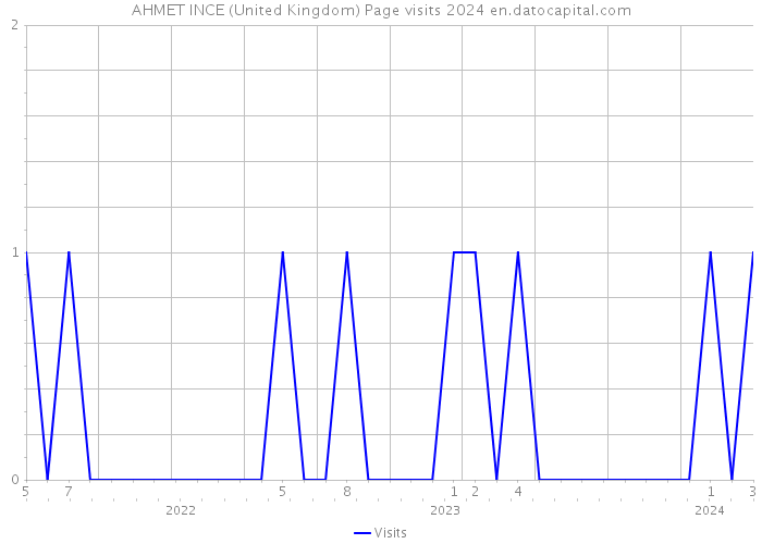 AHMET INCE (United Kingdom) Page visits 2024 