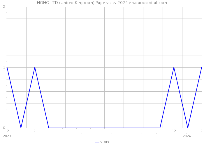 HOHO LTD (United Kingdom) Page visits 2024 