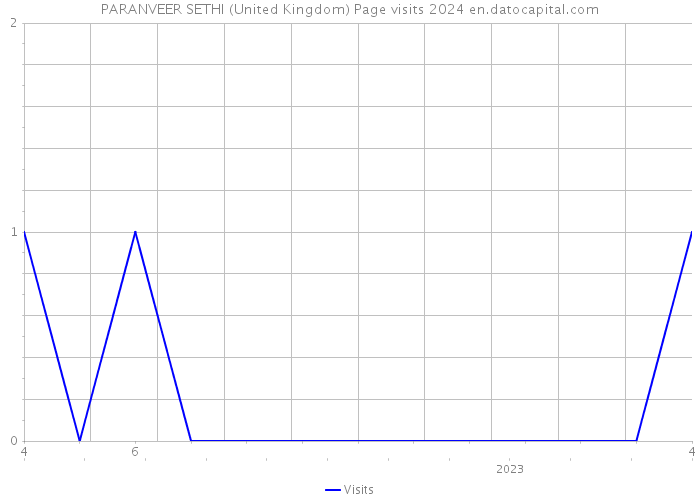 PARANVEER SETHI (United Kingdom) Page visits 2024 