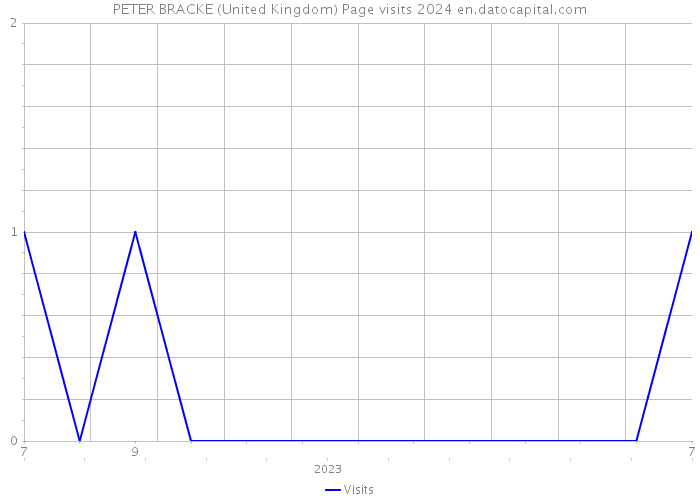 PETER BRACKE (United Kingdom) Page visits 2024 