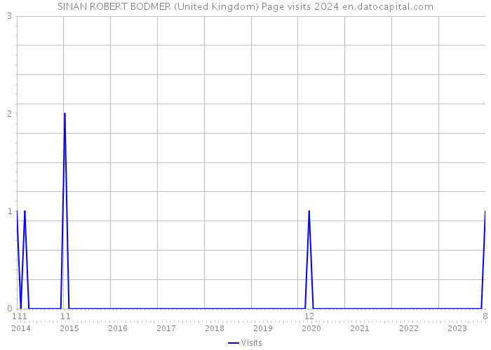 SINAN ROBERT BODMER (United Kingdom) Page visits 2024 