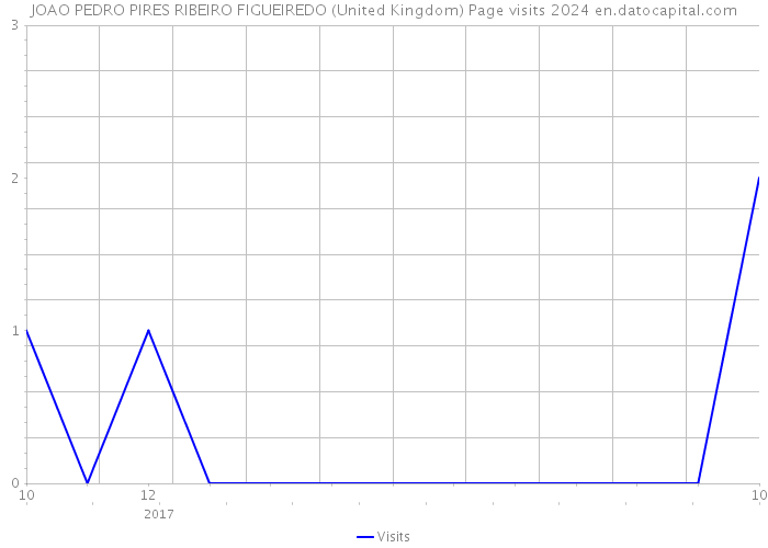 JOAO PEDRO PIRES RIBEIRO FIGUEIREDO (United Kingdom) Page visits 2024 