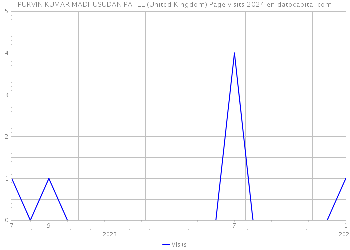 PURVIN KUMAR MADHUSUDAN PATEL (United Kingdom) Page visits 2024 