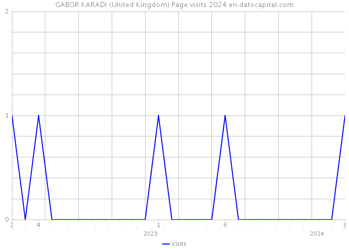 GABOR KARADI (United Kingdom) Page visits 2024 