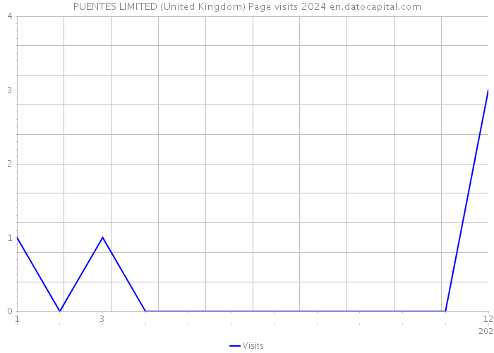 PUENTES LIMITED (United Kingdom) Page visits 2024 
