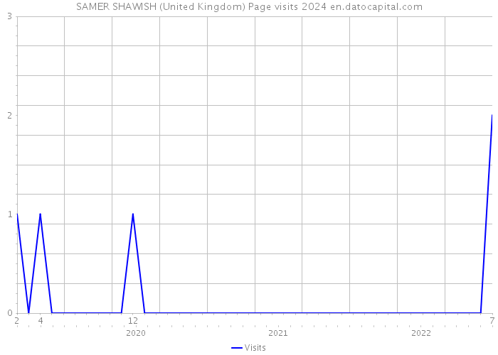 SAMER SHAWISH (United Kingdom) Page visits 2024 