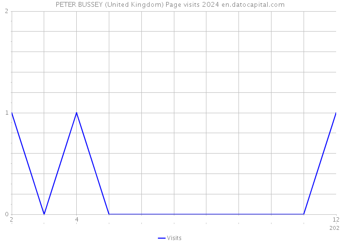 PETER BUSSEY (United Kingdom) Page visits 2024 