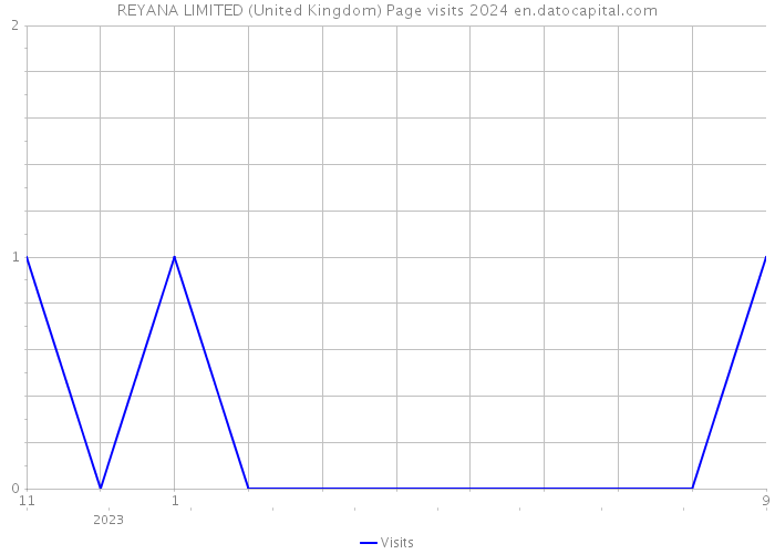 REYANA LIMITED (United Kingdom) Page visits 2024 