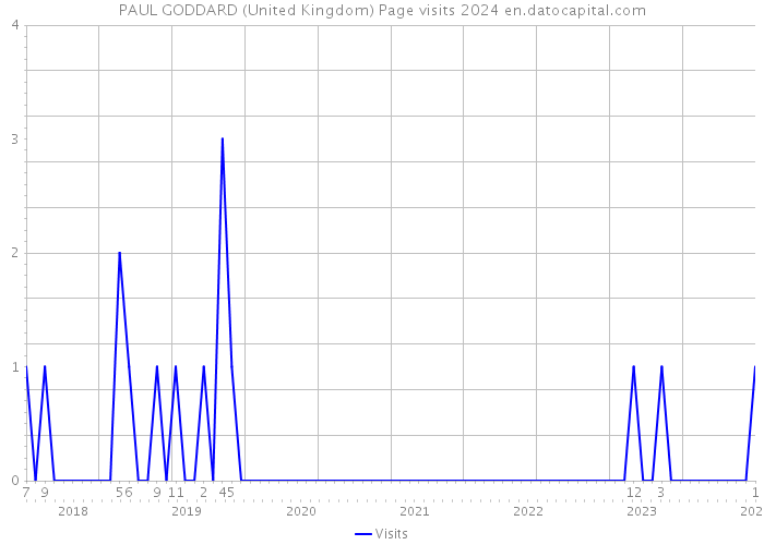 PAUL GODDARD (United Kingdom) Page visits 2024 