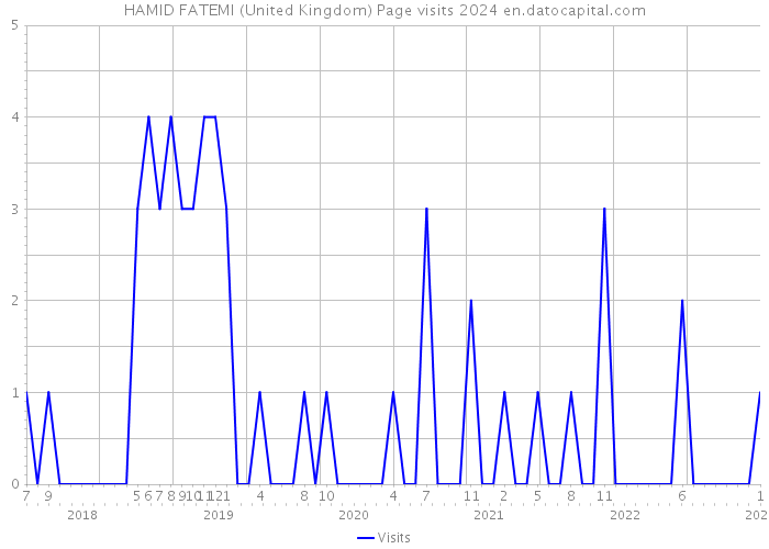 HAMID FATEMI (United Kingdom) Page visits 2024 