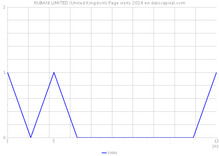 RUBANI LIMITED (United Kingdom) Page visits 2024 