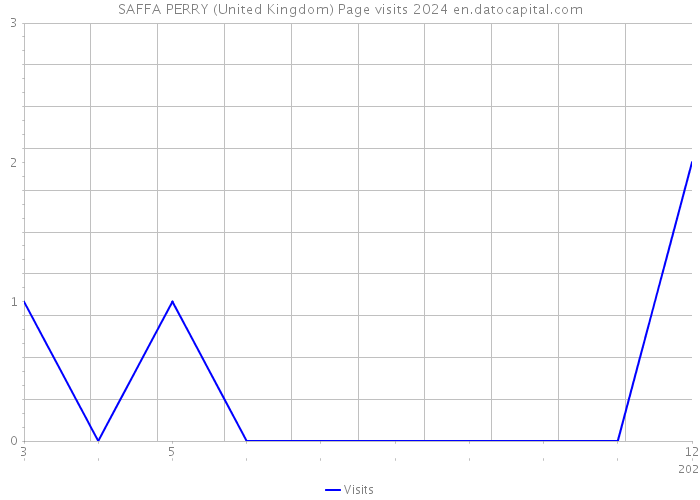 SAFFA PERRY (United Kingdom) Page visits 2024 