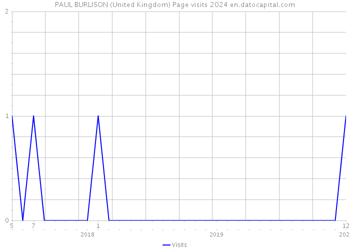 PAUL BURLISON (United Kingdom) Page visits 2024 