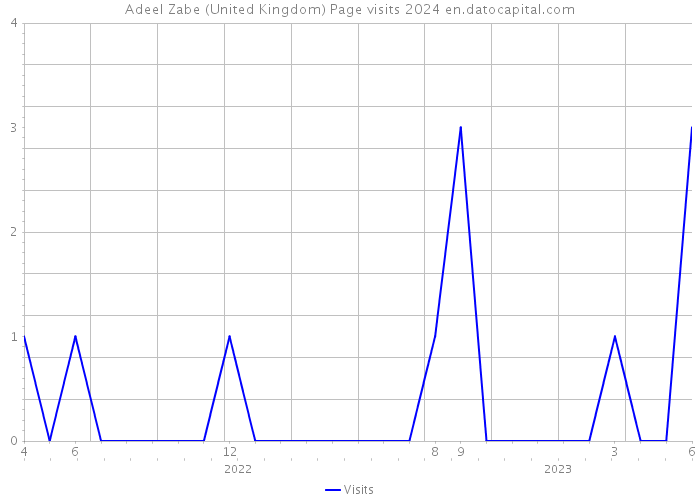 Adeel Zabe (United Kingdom) Page visits 2024 