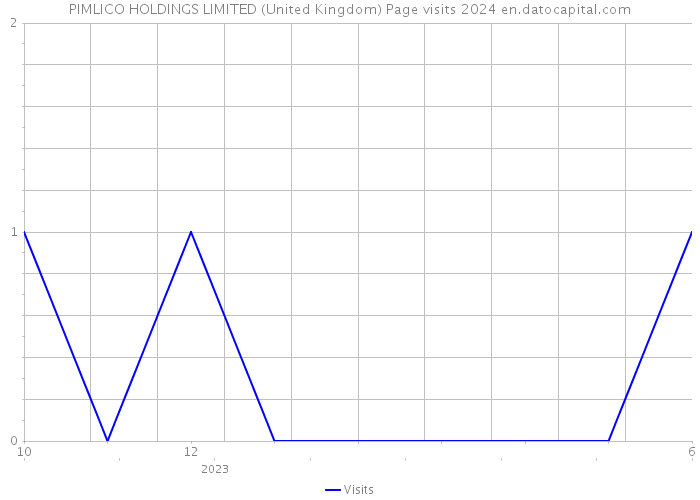 PIMLICO HOLDINGS LIMITED (United Kingdom) Page visits 2024 