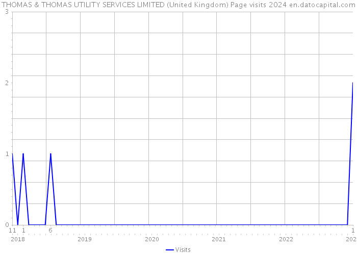 THOMAS & THOMAS UTILITY SERVICES LIMITED (United Kingdom) Page visits 2024 