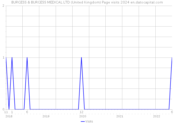 BURGESS & BURGESS MEDICAL LTD (United Kingdom) Page visits 2024 