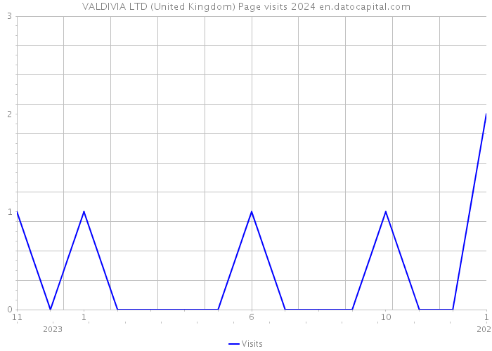VALDIVIA LTD (United Kingdom) Page visits 2024 
