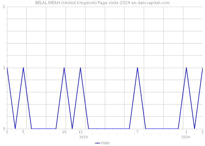 BELAL MEAH (United Kingdom) Page visits 2024 