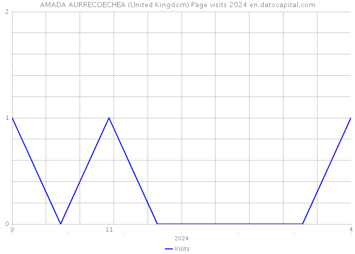 AMADA AURRECOECHEA (United Kingdom) Page visits 2024 