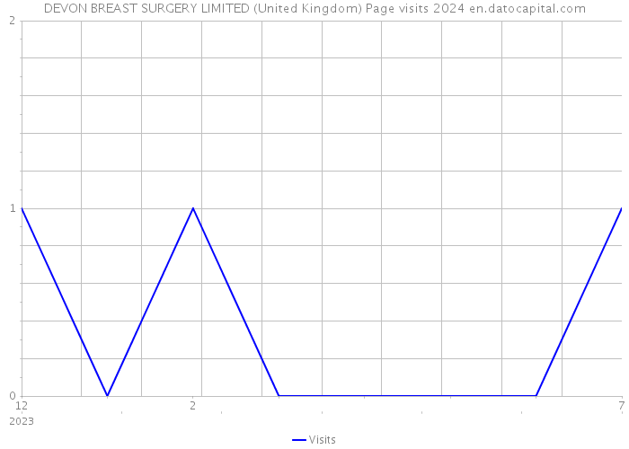 DEVON BREAST SURGERY LIMITED (United Kingdom) Page visits 2024 