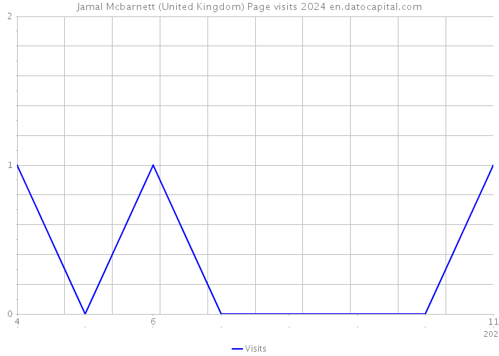 Jamal Mcbarnett (United Kingdom) Page visits 2024 