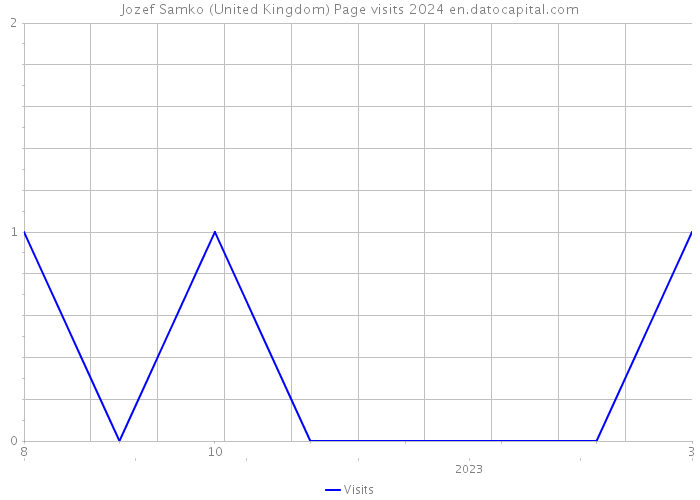 Jozef Samko (United Kingdom) Page visits 2024 