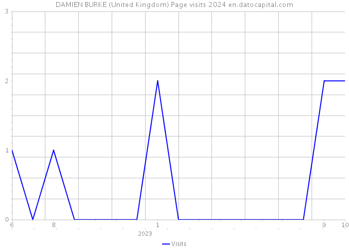 DAMIEN BURKE (United Kingdom) Page visits 2024 
