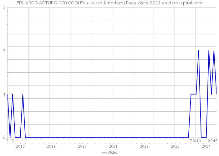 EDUARDO ARTURO GOYCOOLEA (United Kingdom) Page visits 2024 