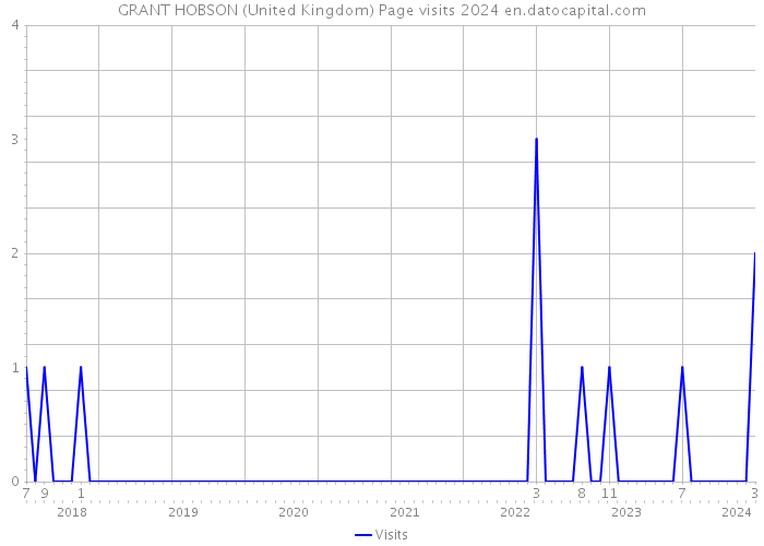 GRANT HOBSON (United Kingdom) Page visits 2024 