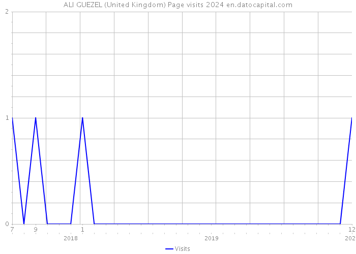 ALI GUEZEL (United Kingdom) Page visits 2024 