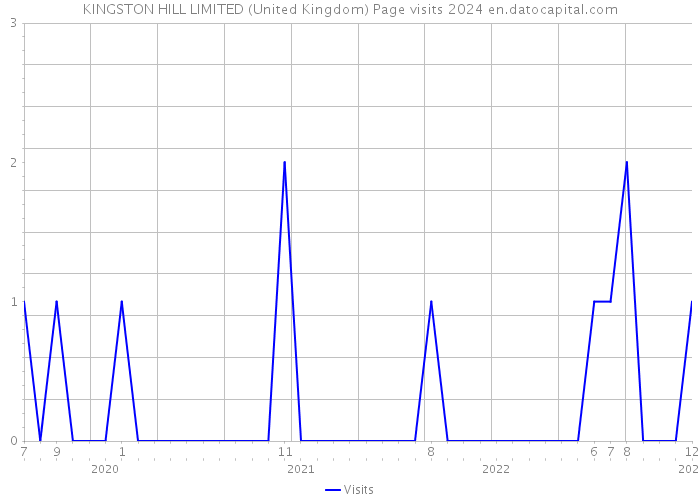 KINGSTON HILL LIMITED (United Kingdom) Page visits 2024 