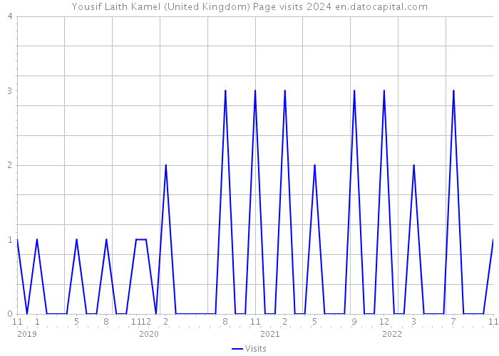 Yousif Laith Kamel (United Kingdom) Page visits 2024 