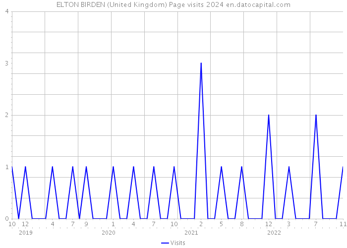 ELTON BIRDEN (United Kingdom) Page visits 2024 