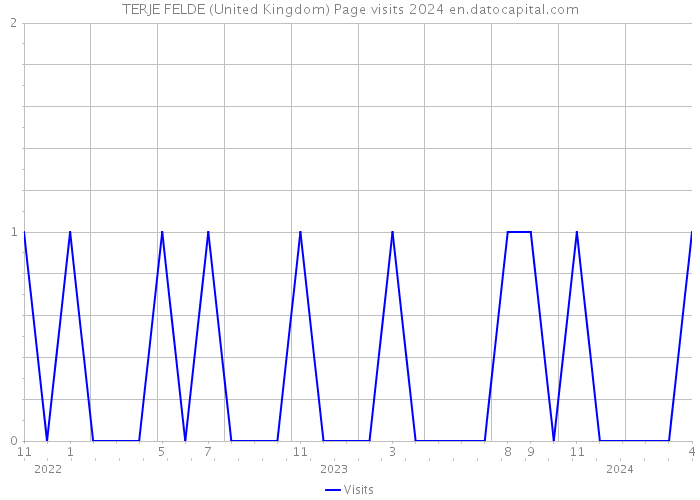 TERJE FELDE (United Kingdom) Page visits 2024 
